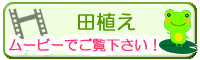 田植え　ムービー